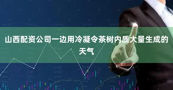 山西配资公司一边用冷凝令茶树内质大量生成的天气