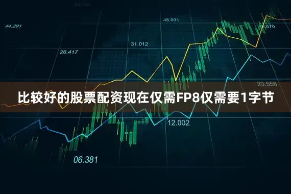 比较好的股票配资现在仅需FP8仅需要1字节