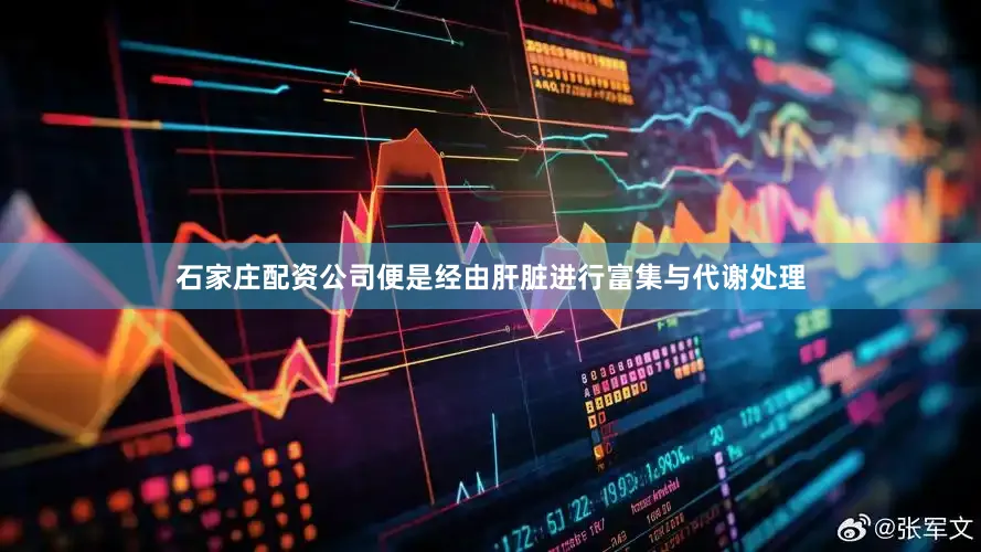 石家庄配资公司便是经由肝脏进行富集与代谢处理