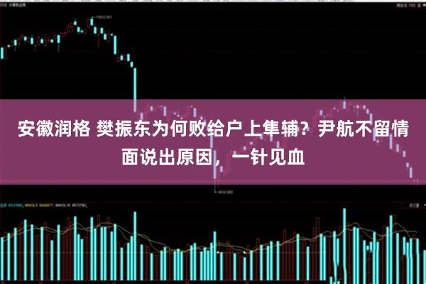 安徽润格 樊振东为何败给户上隼辅？尹航不留情面说出原因，一针见血